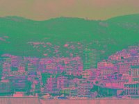 IMGP2802 edited (Medium)